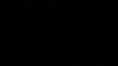 Snapshot of 0815____pet chatting on December 1, 8:31 pm Peter online show from December 1, 8:31 pm