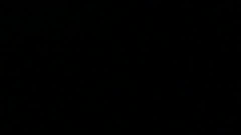 Snapshot of 0815____pet chatting on December 27, 10:37 pm Peter online show from December 27, 10:37 pm