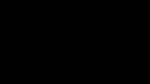 Snapshot of 0815____pet chatting on February 23, 8:00 pm Peter online show from February 23, 8:00 pm