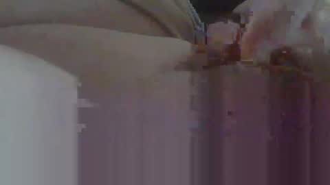 Donner online show from February 14, 4:37 pm