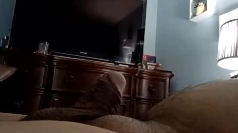 12345marihtc online show from November 24, 3:06 am