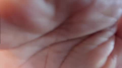 1wayra online show from November 24, 4:07 pm