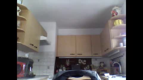 20x5cmgermanlongdong online show from January 8, 9:21 am