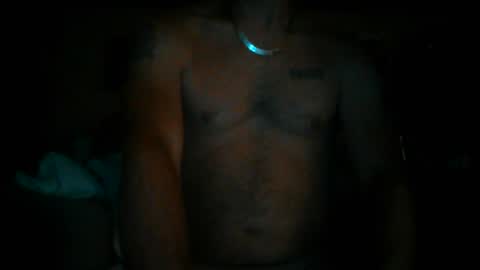 247365onit online show from August 2, 2:54 am