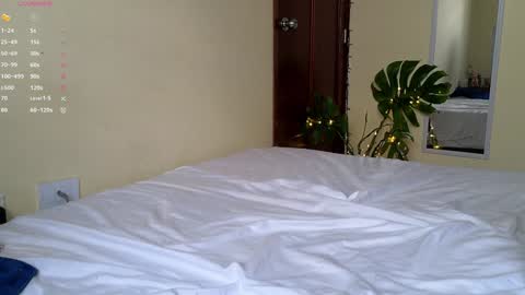 2cbutterfly online show from January 25, 2:36 pm