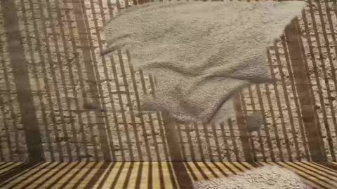 2hairrypigs online show from January 31, 7:23 pm