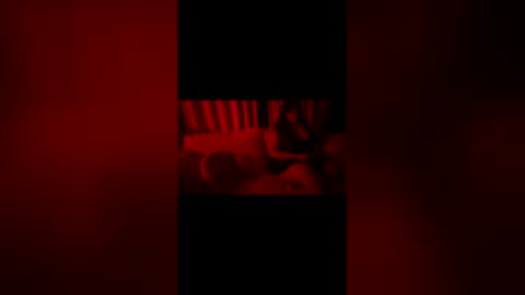 2littlefox online show from June 7, 1:10 am
