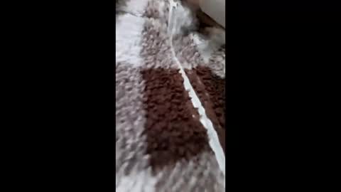 Snapshot of 3x_naxa chatting on February 15, 1:20 pm 3X NAXAA online show from February 15, 1:20 pm