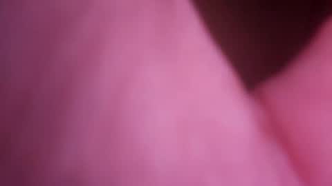 415cs online show from July 31, 6:51 pm
