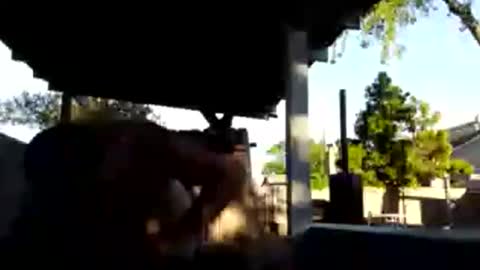 420dick420707 online show from March 19, 1:20 am