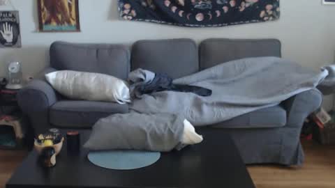 Snapshot of 420randomguy chatting on March 13, 1:07 pm Anomander Rake online show from March 13, 1:07 pm