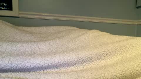 Snapshot of 56nicecock35 chatting on March 8, 2:21 pm 56nicecock35 online show from March 8, 2:21 pm