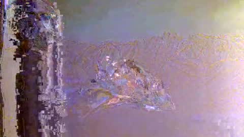 Snapshot of 60zeus60 chatting on November 1, 6:15 am Zeus online show from November 1, 6:15 am