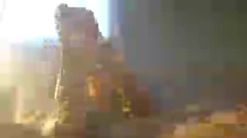 Zeus online show from July 12, 12:01 am