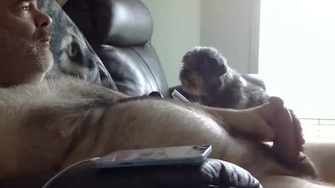 66bear online show from May 31, 2:24 pm