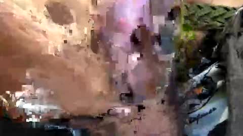 6990fiko online show from September 29, 9:47 am