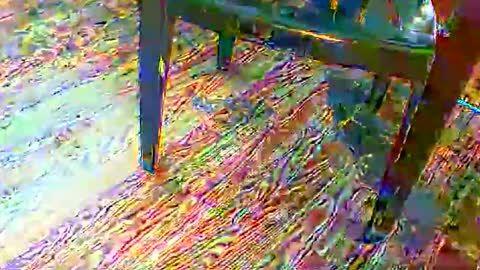 69forever453443 online show from November 24, 1:55 pm