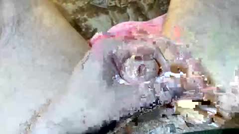 69rumbler online show from November 6, 10:05 am