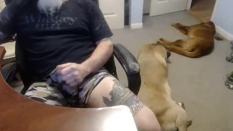 MASTIFF online show from October 13, 5:02 pm