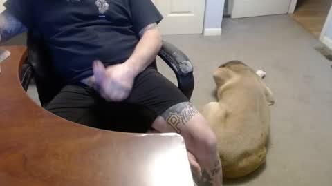 MASTIFF online show from January 16, 3:10 am