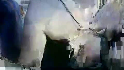 Lilu online show from January 12, 9:53 pm