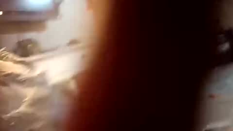 Snapshot of 7lairddip chatting on October 6, 3:59 am 7lairddip online show from October 6, 3:59 am