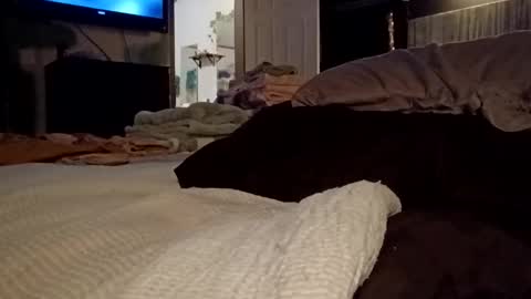 7lairddip online show from March 30, 6:36 am