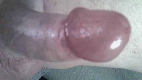 Snapshot of 81_harterschwanz chatting on January 9, 8:11 pm Maximilian Max online show from January 9, 8:11 pm