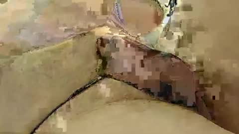 Snapshot of 8385 chatting on March 3, 12:15 am 8385 online show from March 3, 12:15 am