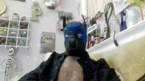 90210screamer online show from March 13, 11:06 am