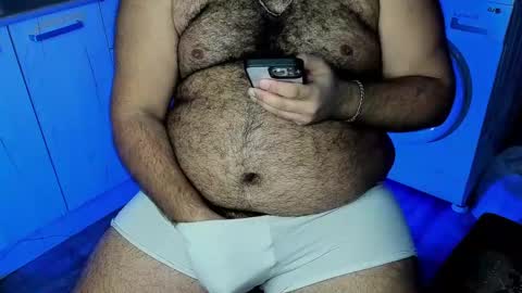 Snapshot of _alan_bear_ chatting on December 12, 12:27 am Alan online show from December 12, 12:27 am