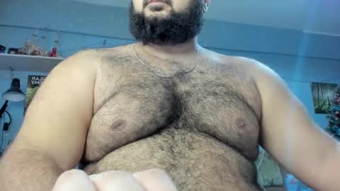 Snapshot of _alan_bear_ chatting on January 17, 11:17 am Alan online show from January 17, 11:17 am