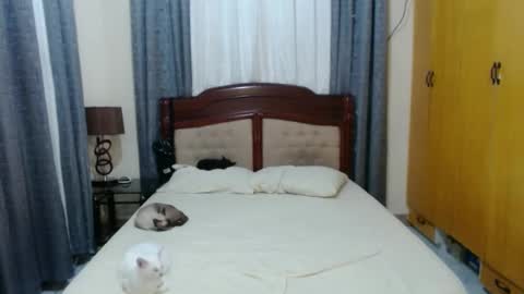 Amber online show from January 30, 5:39 pm