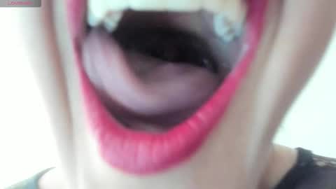 antonia online show from November 24, 1:44 pm