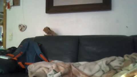 b0rn4porn online show from April 27, 5:33 pm