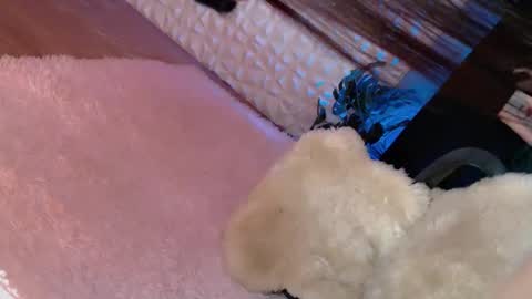 Caroline online show from March 8, 6:32 am