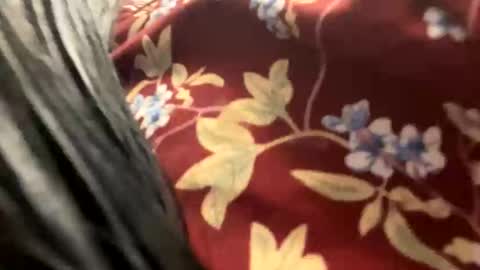 _catalina_linda_ok online show from October 26, 6:41 am
