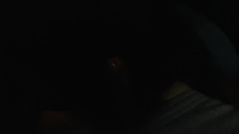 Snapshot of _daddybry_ chatting on February 21, 3:01 am bree x3 online show from February 21, 3:01 am