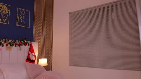 Snapshot of _dakota_a chatting on December 28, 2:42 pm Dakota online show from December 28, 2:42 pm