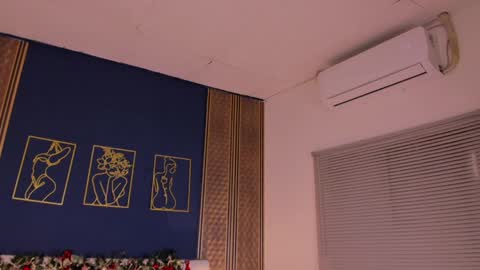 Snapshot of _dakota_a chatting on December 28, 5:46 pm Dakota online show from December 28, 5:46 pm