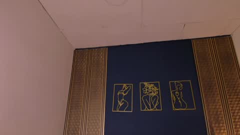 Snapshot of _dakota_a chatting on January 14, 12:54 am Dakota online show from January 14, 12:54 am