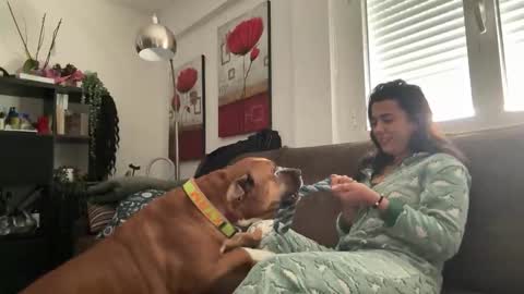  elena barra online show from November 29, 12:41 pm