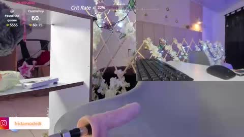 Snapshot of _frida_1 chatting on December 28, 5:03 pm Frida online show from December 28, 5:03 pm