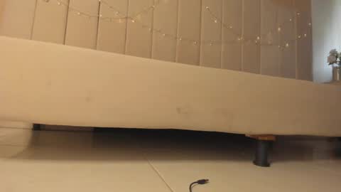 Snapshot of _frida_1 chatting on January 4, 7:13 pm Frida online show from January 4, 7:13 pm