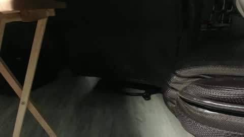 _jimmini online show from December 14, 8:02 pm