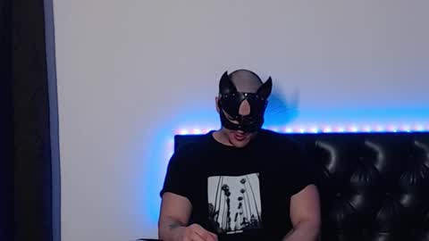 Snapshot of _joni_new_ chatting on November 18, 3:45 am Joni online show from November 18, 3:45 am