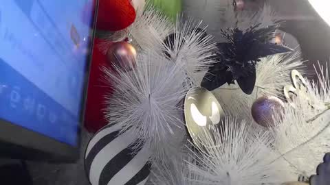 Cata  online show from November 30, 3:10 am