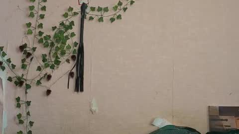 Snapshot of _kikiclark_ chatting on February 27, 9:20 am _kikiclark_ online show from February 27, 9:20 am