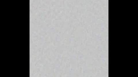  Kendall online show from November 13, 7:29 am