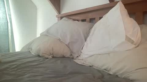 Kiwi online show from December 2, 7:53 pm